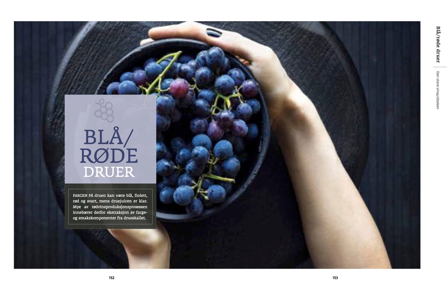 Den store VinQuiz boken - Familieforlaget as